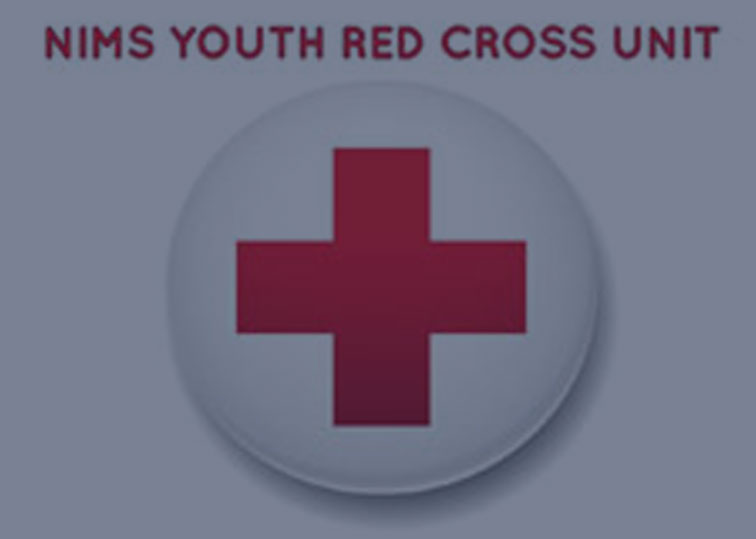 Vintage American Junior Red Cross Pinback Pins - Etsy